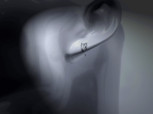 American Sportsman Jewelry Earrings Deer Print Hunting Earrings-Small