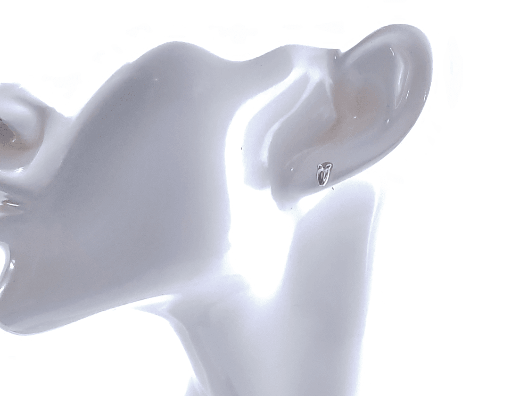 American Sportsman Jewelry Earrings Deer Print Hunting Earrings-Small