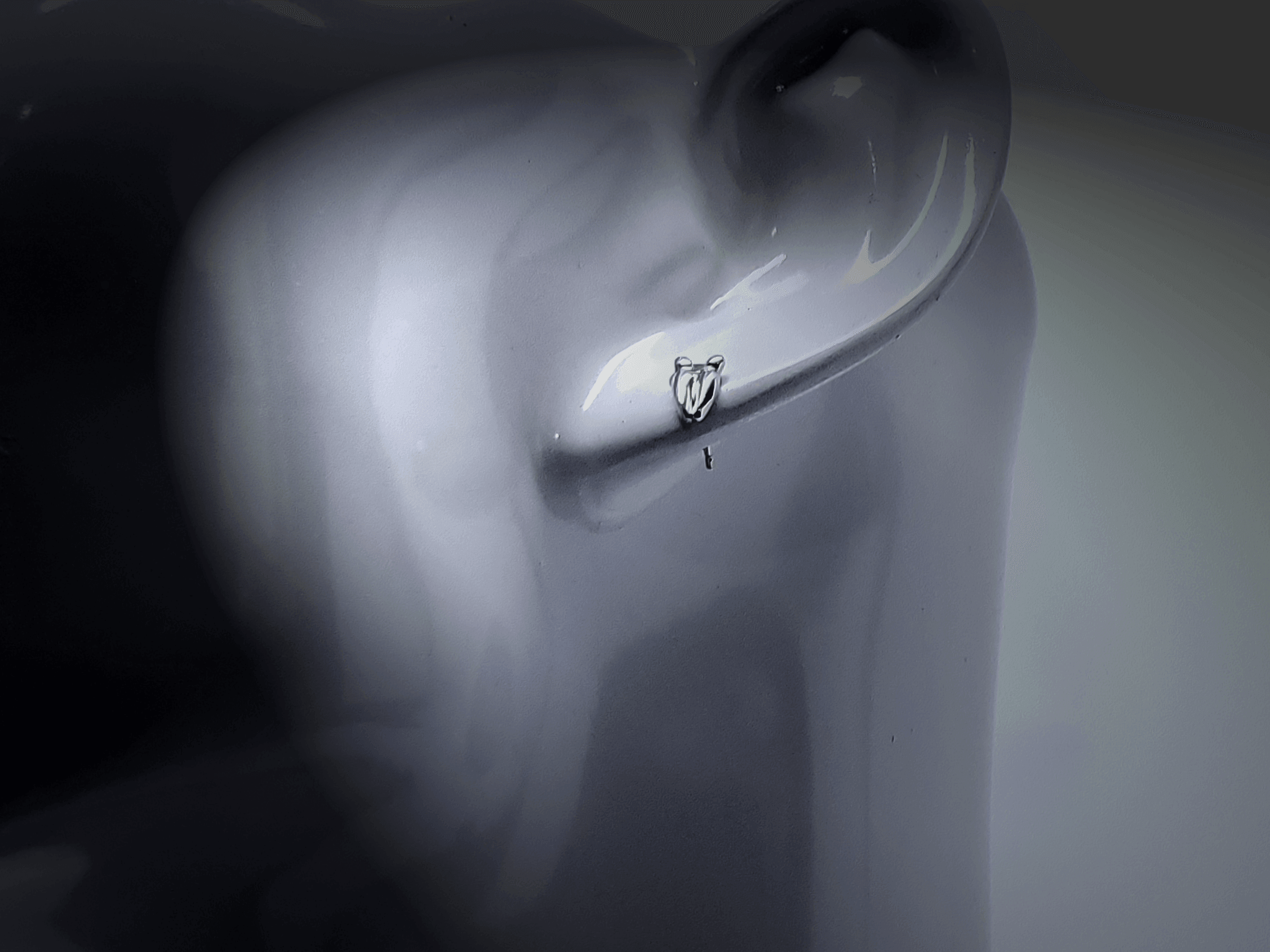 American Sportsman Jewelry Earrings Deer Print Hunting Earrings-Small